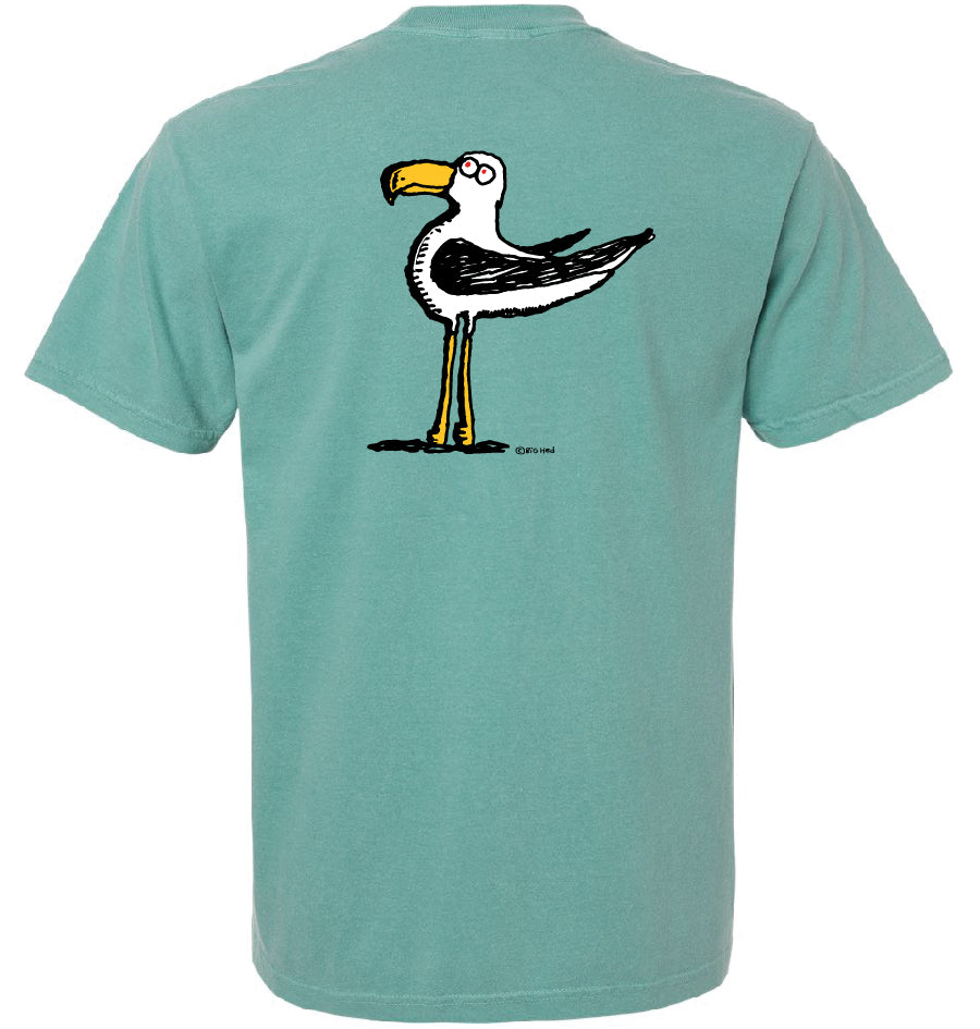 Gull